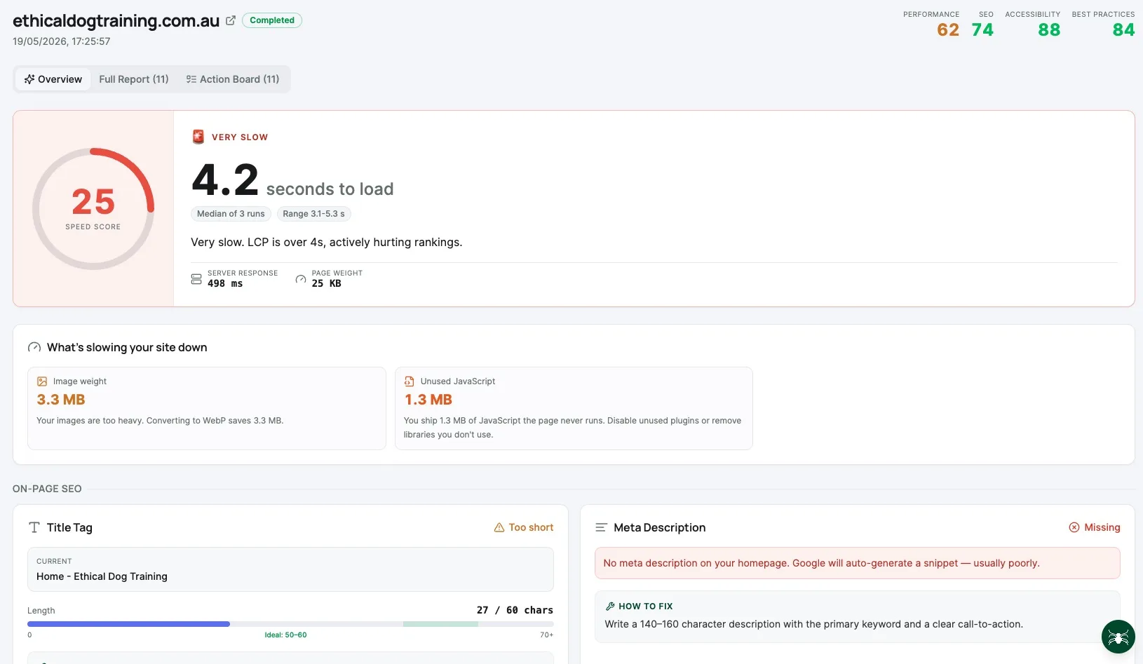 Site Audit interface in DataWise SEO